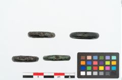 Foto von Bronzering (NHMW-PRAE-025931)